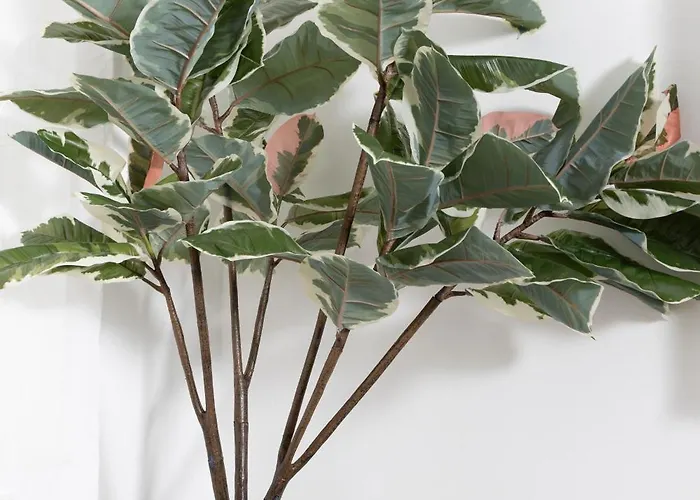 Apartman Modernes 2-zimmer Apartment: Zentrumsnah *